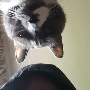 Meet your Posher, Jared